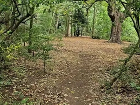 Clapham Common cruising trails - June 2025 sex videos asian gay group